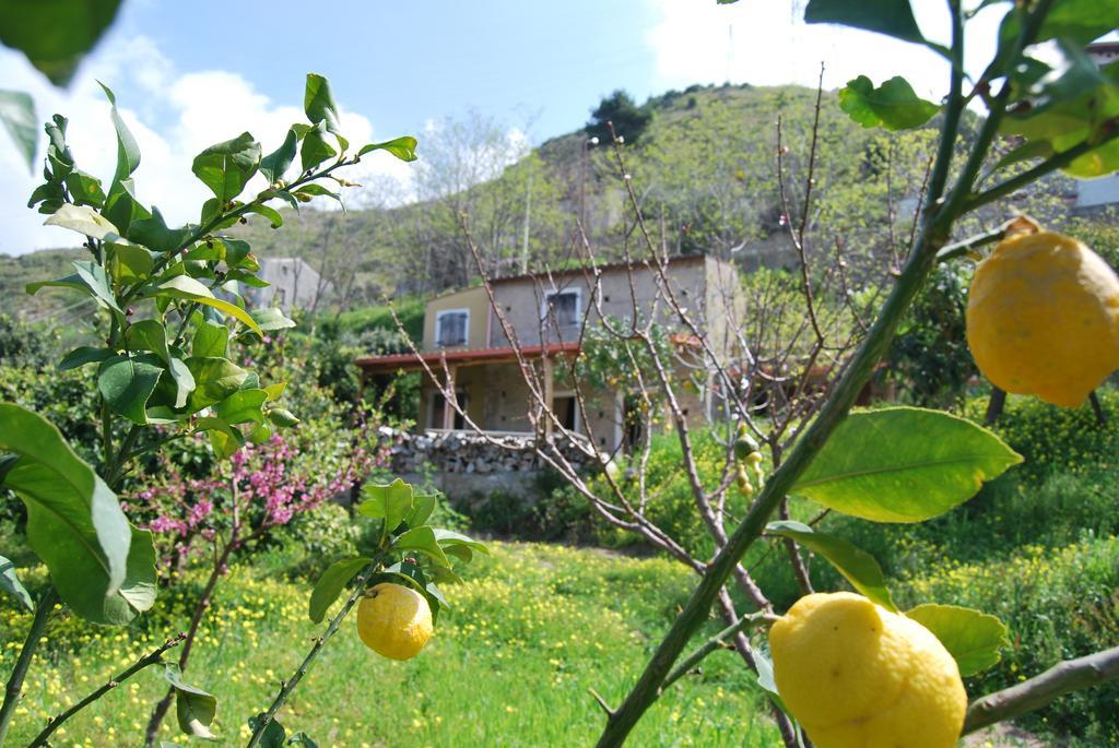 Al Melograno B&B Belmonte Calabro Szoba fotó