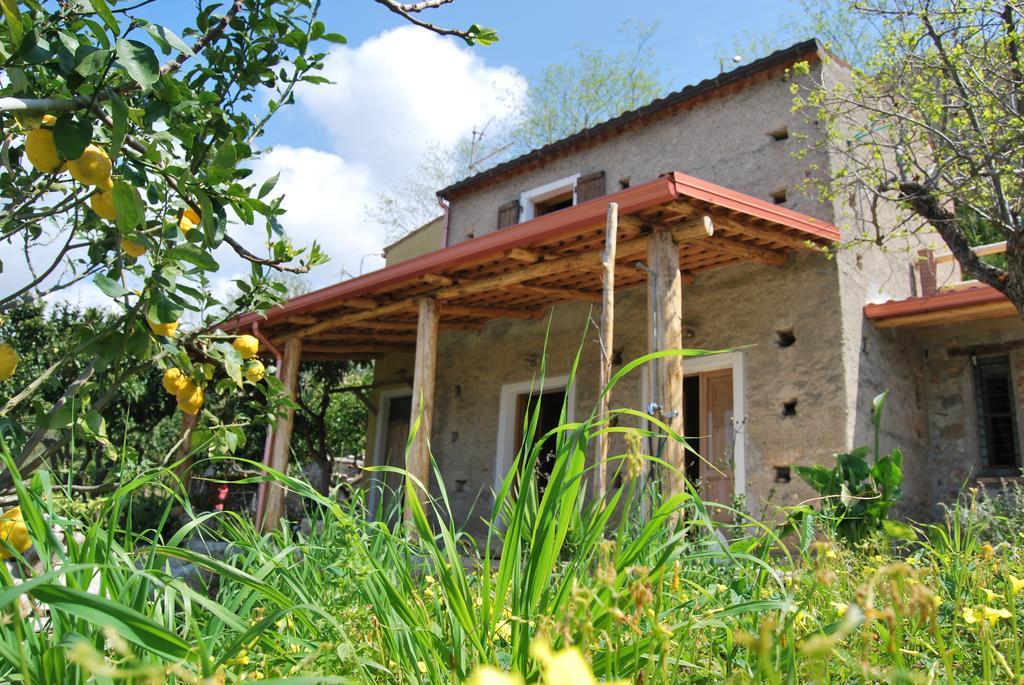 Al Melograno B&B Belmonte Calabro Kültér fotó